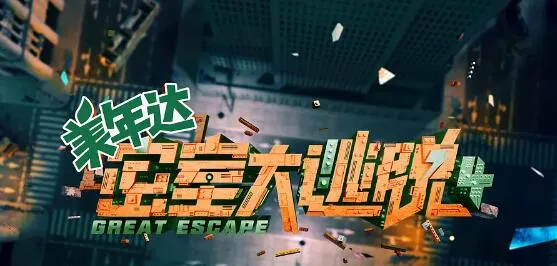 天竺鼠车车